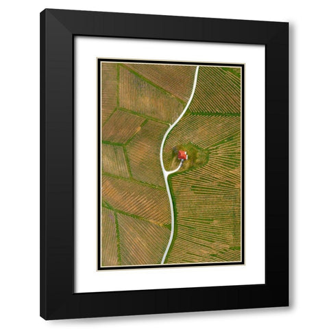 Vinyards Black Modern Wood Framed Art Print with Double Matting by Kravanja, Jure
