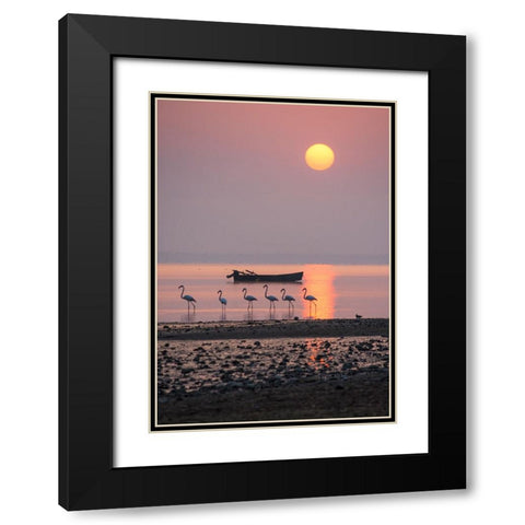Morning Sunbath Black Modern Wood Framed Art Print with Double Matting by Nikoloulis, Ilias