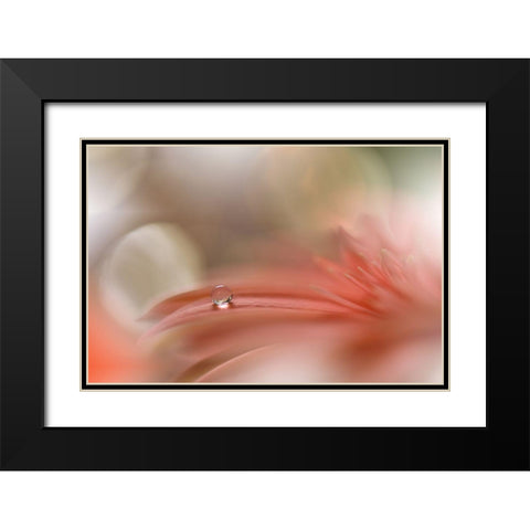 Light Touch.. Black Modern Wood Framed Art Print with Double Matting by Nan, Juliana