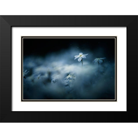 Spring Glow Black Modern Wood Framed Art Print with Double Matting by Suzuki, Takashi