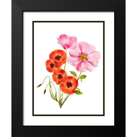 Flower Composition Iii Black Modern Wood Framed Art Print with Double Matting by Yakubovitch, Azriel