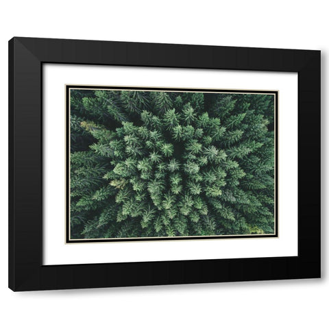 Moody Forest From Above Black Modern Wood Framed Art Print with Double Matting by Lindsten, Christian