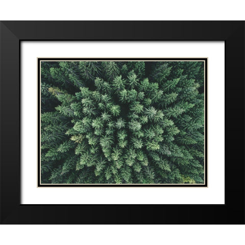 Moody Forest From Above Black Modern Wood Framed Art Print with Double Matting by Lindsten, Christian