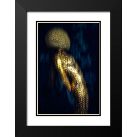 Anti-Gravity Black Modern Wood Framed Art Print with Double Matting by Bolgov, Ruslan