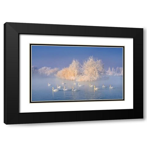 Swan Lake Black Modern Wood Framed Art Print with Double Matting by Zhu, Hua