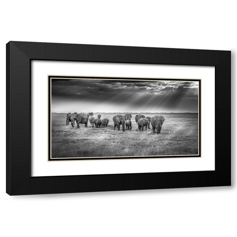 Breakfast With Pachyderms Black Modern Wood Framed Art Print with Double Matting by C. Sink, Jeffrey