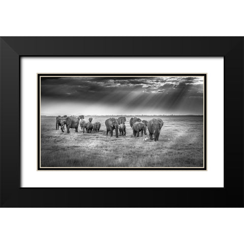 Breakfast With Pachyderms Black Modern Wood Framed Art Print with Double Matting by C. Sink, Jeffrey