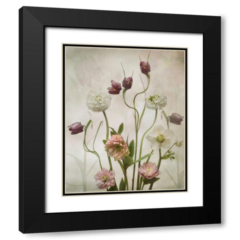 Spring Garden Black Modern Wood Framed Art Print with Double Matting by Williams, Sharon