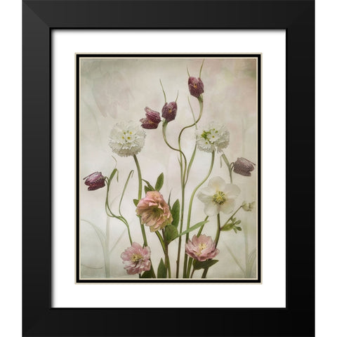Spring Garden Black Modern Wood Framed Art Print with Double Matting by Williams, Sharon