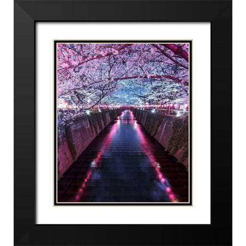 Sakura Season Black Modern Wood Framed Art Print with Double Matting by F4 Passion
