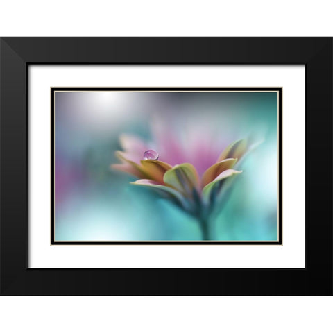 Memories Of Sea.. Black Modern Wood Framed Art Print with Double Matting by Nan, Juliana