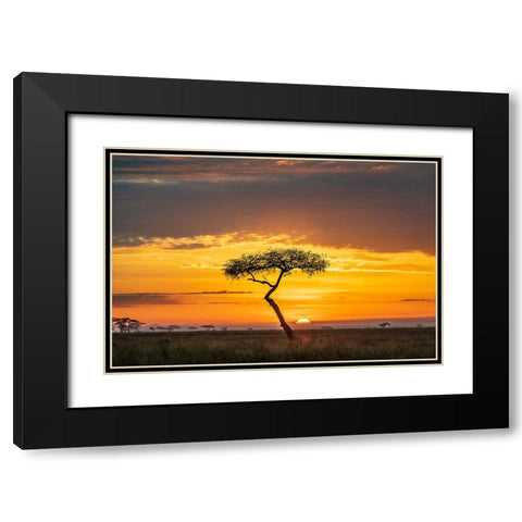 Sunrise Black Modern Wood Framed Art Print with Double Matting by C. Sink, Jeffrey