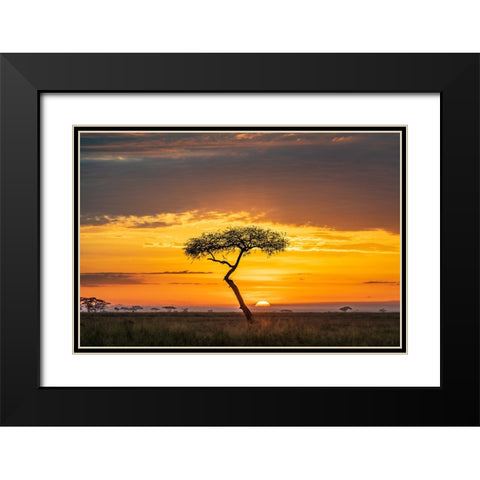 Sunrise Black Modern Wood Framed Art Print with Double Matting by C. Sink, Jeffrey