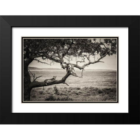 Queen Black Modern Wood Framed Art Print with Double Matting by Alnaser, Mohammed