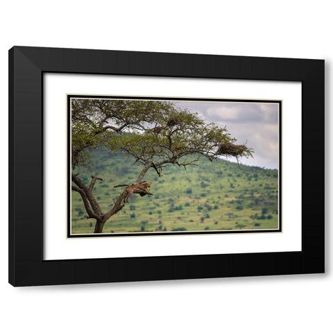 At The Edge Black Modern Wood Framed Art Print with Double Matting by Alnaser, Mohammed