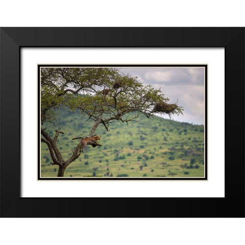 At The Edge Black Modern Wood Framed Art Print with Double Matting by Alnaser, Mohammed