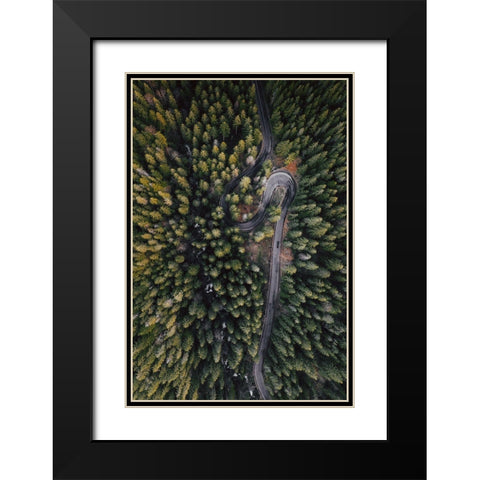 Forest Vibes Black Modern Wood Framed Art Print with Double Matting by Beata, Angyalosi