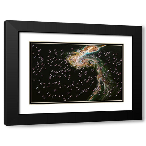 Hundreds Of Flamingos Black Modern Wood Framed Art Print with Double Matting by J. Chen, John