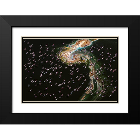 Hundreds Of Flamingos Black Modern Wood Framed Art Print with Double Matting by J. Chen, John