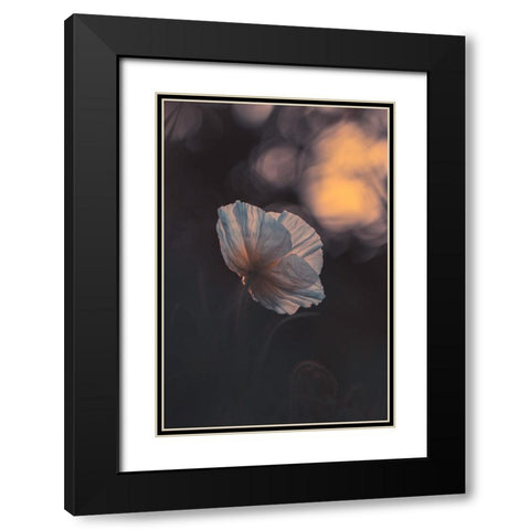 Last Ray Black Modern Wood Framed Art Print with Double Matting by BRAVIN, Fabien