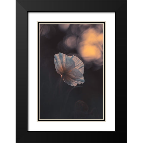 Last Ray Black Modern Wood Framed Art Print with Double Matting by BRAVIN, Fabien