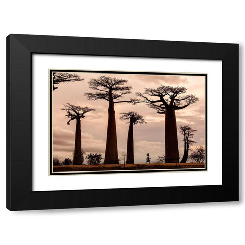 Madagascar Black Modern Wood Framed Art Print with Double Matting by Mirica, Dan