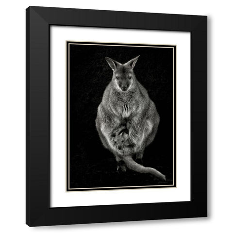 Want To Emancipate Black Modern Wood Framed Art Print with Double Matting by Guillemot, Mathilde