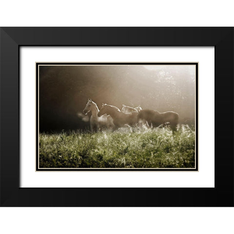 Yesterday Morning Black Modern Wood Framed Art Print with Double Matting by Malovrh, Milan