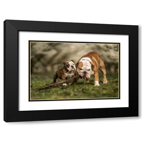 Busy With A Stick Black Modern Wood Framed Art Print with Double Matting by van den, Gert