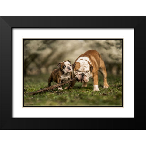 Busy With A Stick Black Modern Wood Framed Art Print with Double Matting by van den, Gert