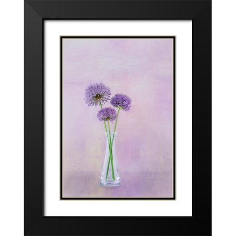 3 Allium Black Modern Wood Framed Art Print with Double Matting by Gray, Gaille