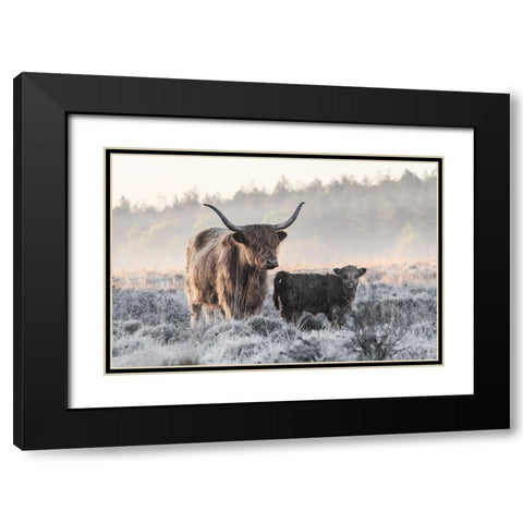 Highlander And Calf Black Modern Wood Framed Art Print with Double Matting by van den, Jaap