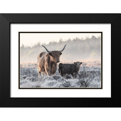 Highlander And Calf Black Modern Wood Framed Art Print with Double Matting by van den, Jaap