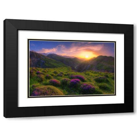 Spring In Show Black Modern Wood Framed Art Print with Double Matting by Younesi, Saeed