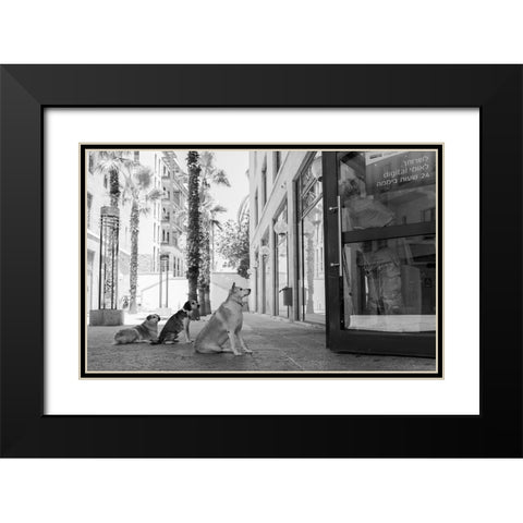 Untitled Black Modern Wood Framed Art Print with Double Matting by Lev Ari, Shay
