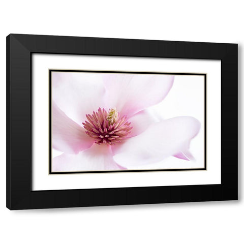 Freshness Black Modern Wood Framed Art Print with Double Matting by Karpova, Inna