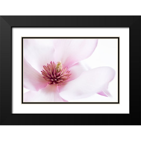 Freshness Black Modern Wood Framed Art Print with Double Matting by Karpova, Inna