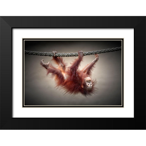Dont Murder Our Primeval Forests Black Modern Wood Framed Art Print with Double Matting by Wenner-Braun, Antje