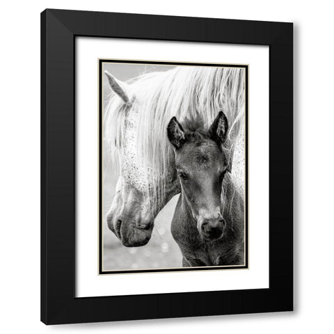 The Foal Black Modern Wood Framed Art Print with Double Matting by Parker, Jacky