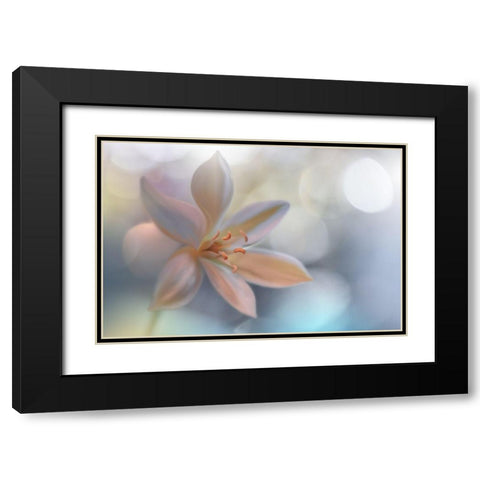 Metamorphosis.. Black Modern Wood Framed Art Print with Double Matting by Nan, Juliana