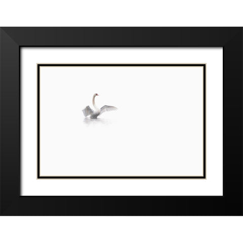 White Black Modern Wood Framed Art Print with Double Matting by Bravin, Fabien