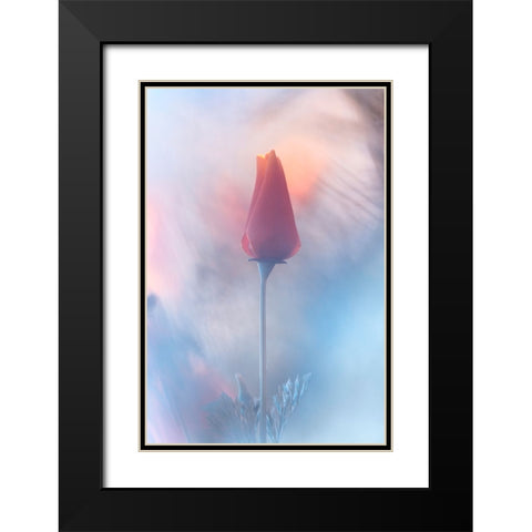Douceur A Voluptac Black Modern Wood Framed Art Print with Double Matting by BRAVIN, Fabien