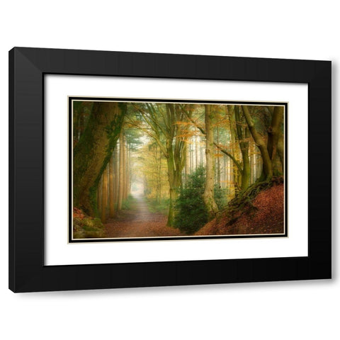 Following Fog Black Modern Wood Framed Art Print with Double Matting by Borggreve, Ellen