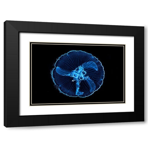 Macdusa Black Modern Wood Framed Art Print with Double Matting by Gabriel, Barathieu