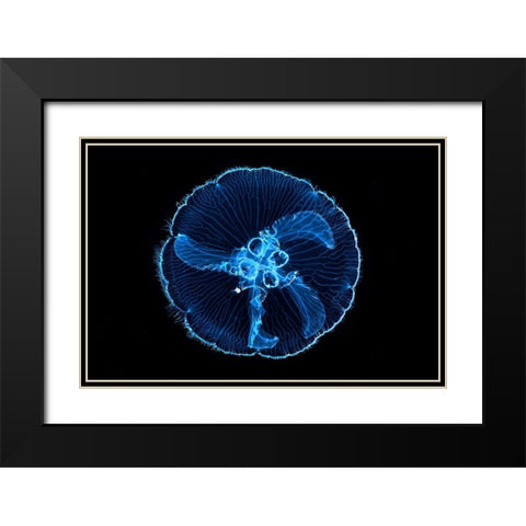 Macdusa Black Modern Wood Framed Art Print with Double Matting by Gabriel, Barathieu