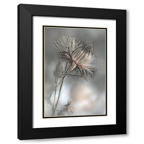 Source Of Life Black Modern Wood Framed Art Print with Double Matting by Claes, Gilbert
