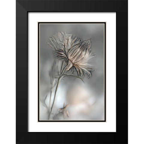 Source Of Life Black Modern Wood Framed Art Print with Double Matting by Claes, Gilbert