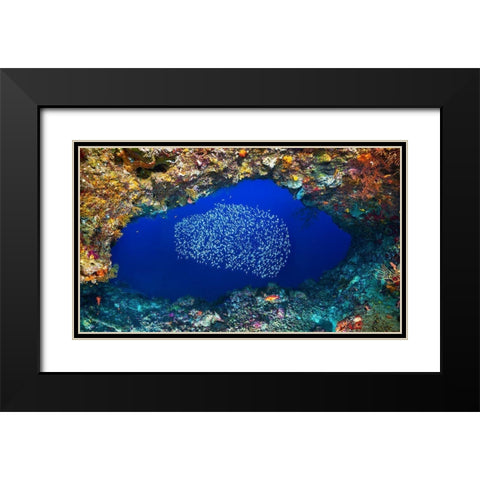 Underwater Cave Black Modern Wood Framed Art Print with Double Matting by Gabriel, Barathieu