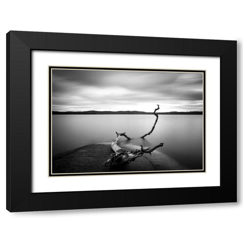Branch Long Exposure Lake Black Modern Wood Framed Art Print with Double Matting by Lindsten, Christian