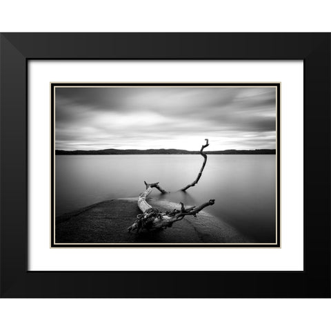 Branch Long Exposure Lake Black Modern Wood Framed Art Print with Double Matting by Lindsten, Christian